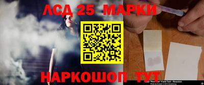 PSILOCYBIN Краснодар