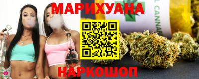 сатива Краснознаменск