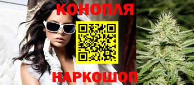 сатива Краснознаменск