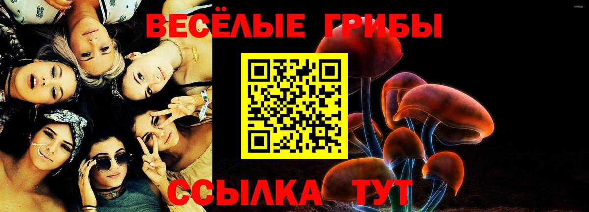 Псилоцибиновые грибы Magic Shrooms Донецк